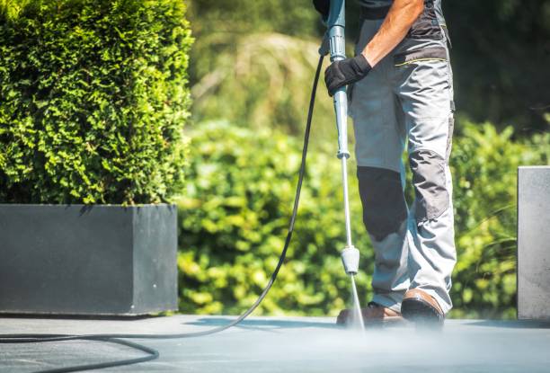 Best Animal Enclosure Cleaning  in Palm Beach, FL